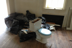junk removal Alexandria va