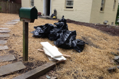 junk removal Alexandria va