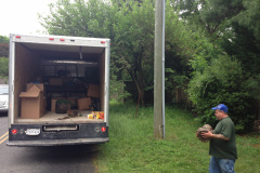 Annandale Junk Removal