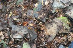 Outside Shed and Construction Debris Removed in Clifton, VA