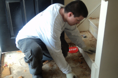 Hoarder Clean-out in Fairfax VA