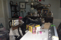 Hoarder Cleanout Help Virginia