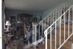 Hoarder Cleanout Help Virginia
