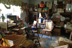 Hoarder Clean Up Hyattsville MD