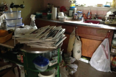 Hoarder Clean Up Silver Spring Maryland