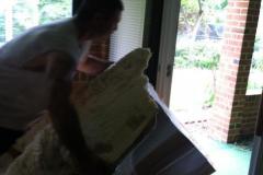 Hot tub removal Annandale VA