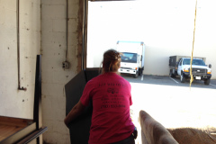 Washington DC Junk Removal Services
