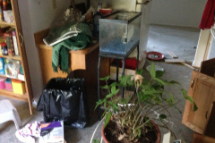 Junk hauling Lorton VA