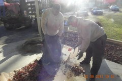 Yard debris removal Oakton VA