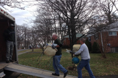 How to remove junk in Fairfax VA