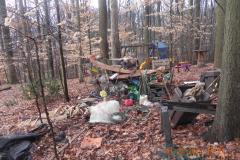 Shed Demolition and Removal