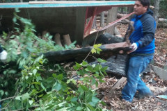Shed removal Reston VA