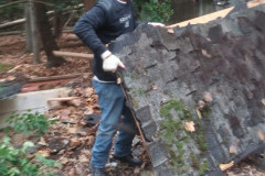 Shed removal Reston VA