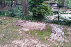 Shed removal in Washington DC - After Image