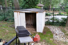 Washington DC shed removal - Before Image