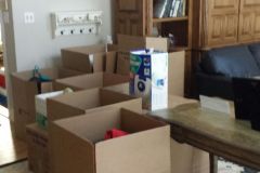 Trash Removal Fairfax VA