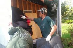 Trash Removal Fredericksburg VA