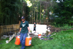 Vienna VA junk removal