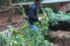 Yard Debris Removal Fairfax VA