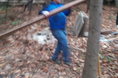 Yard debris removal Fairfax VA