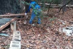 Yard debris removal Fairfax VA