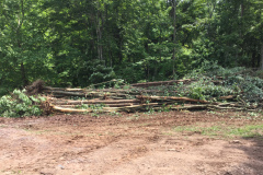 Yard Debris Removal McLean VA