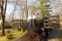 Yard debris removal McLean VA